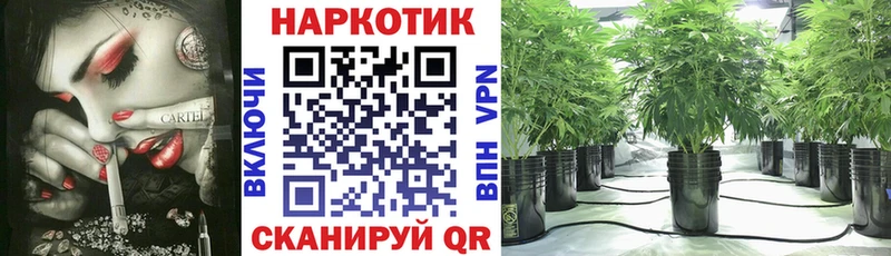 Купить наркотики Приозерск КОКАИН Гашиш Амфетамин МЕТАМФЕТАМИН Альфа ПВП Конопля