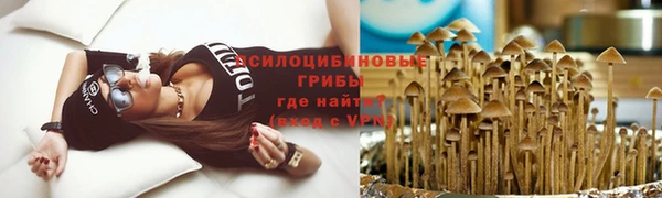 каннабис Покачи