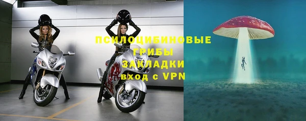 каннабис Покачи