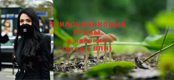 PSILOCYBIN Ельня