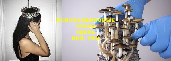 соль ск Покровск
