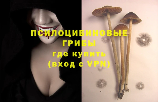 дживик Покров
