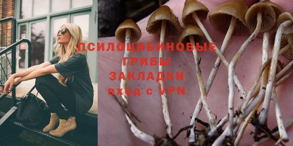 соль ск Покровск