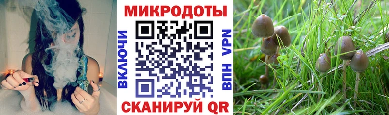 omg зеркало  Приозерск  Галлюциногенные грибы Cubensis 